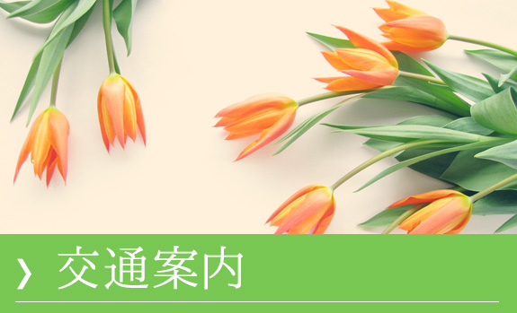 交通案内